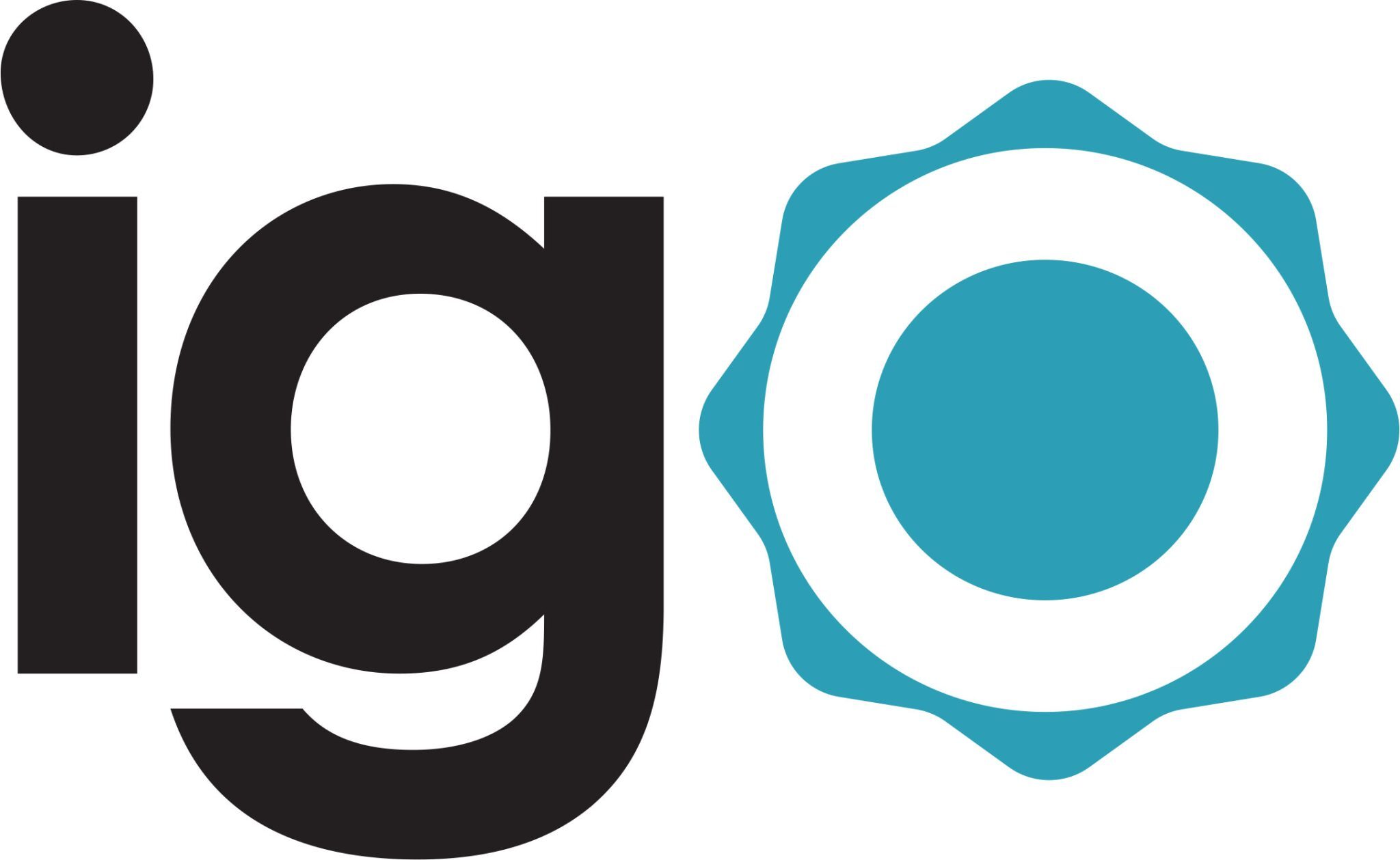 iGo